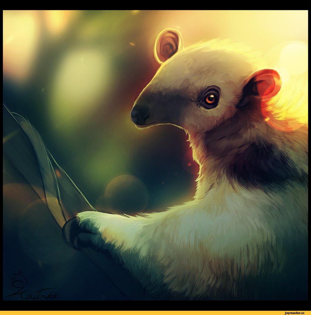 Милые муравьеды