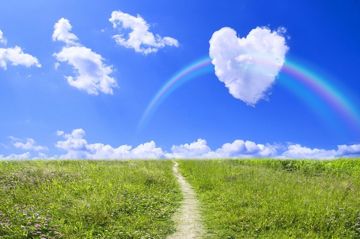 Счастливая дорога