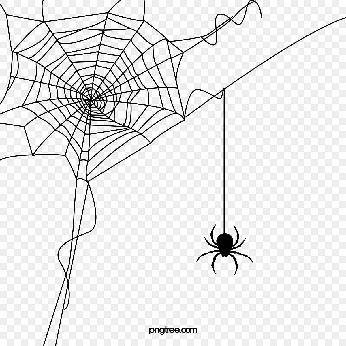 Паук линиями