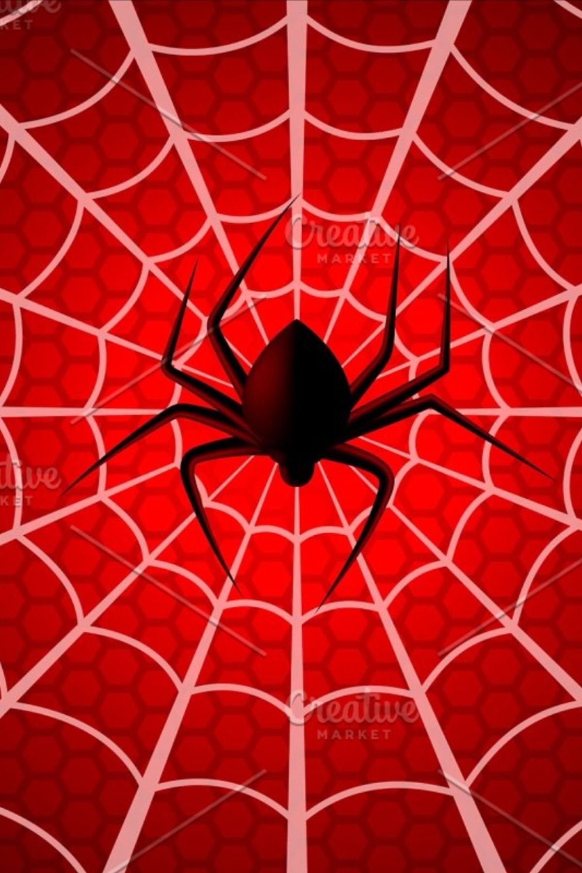 Сердце в паутине