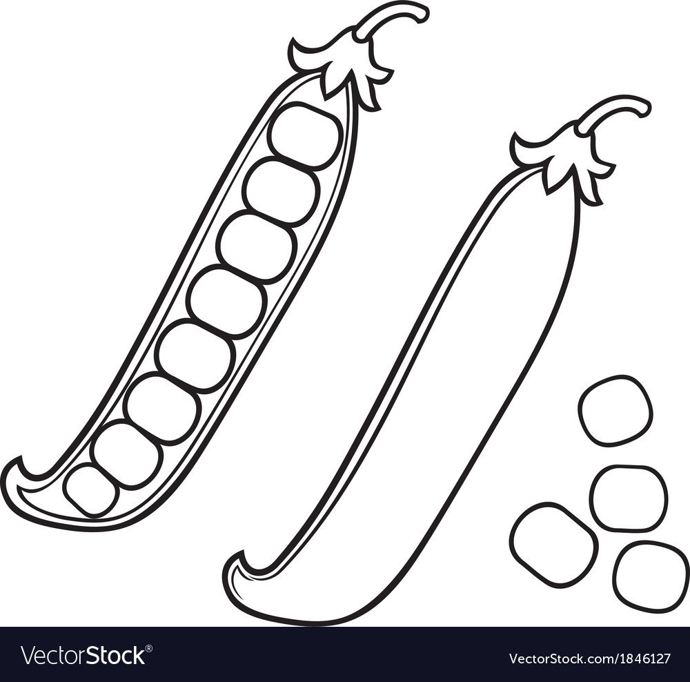 Горох картинка для детей