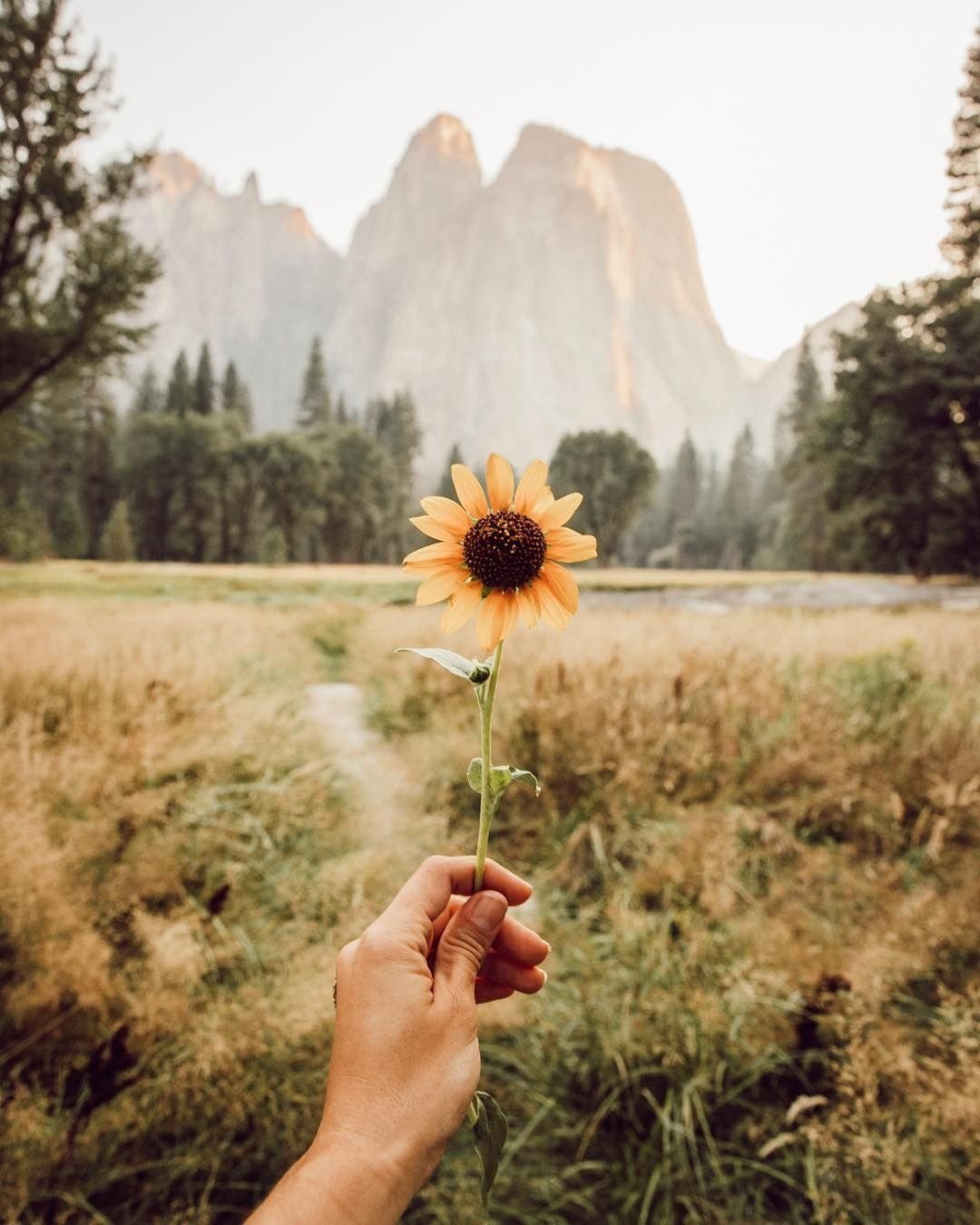 Мальчик бежит по полю