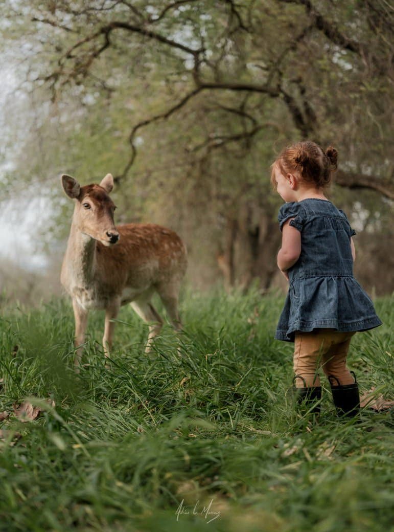 Обитатели тайги для детей