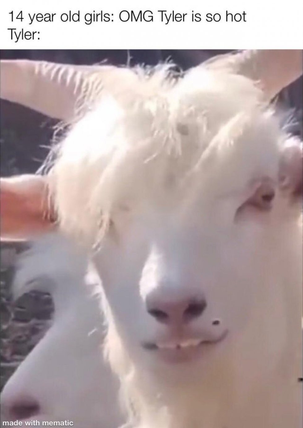 Картинки приколы