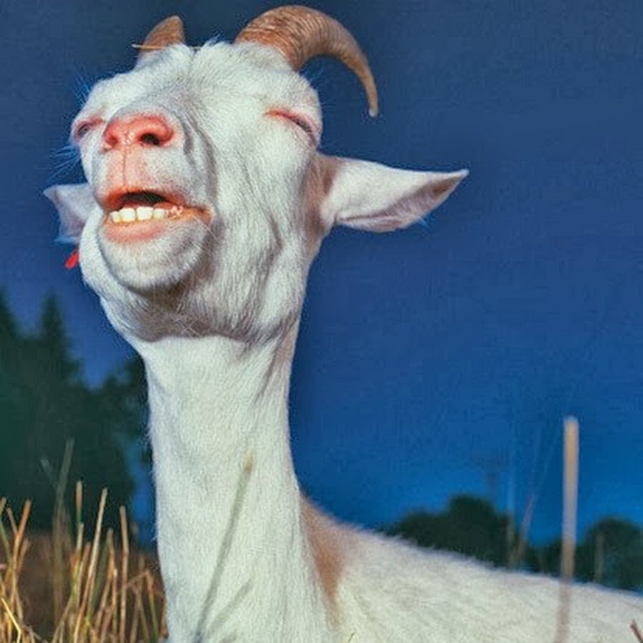 Коза прикольная