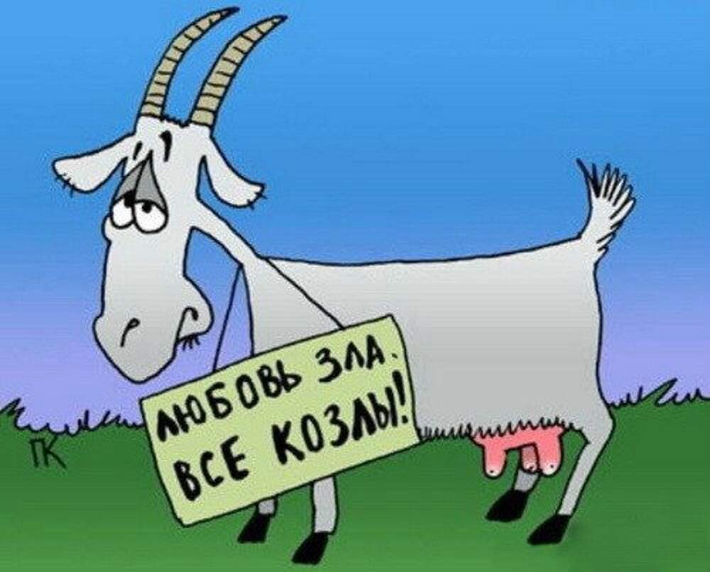 Зрачки козы