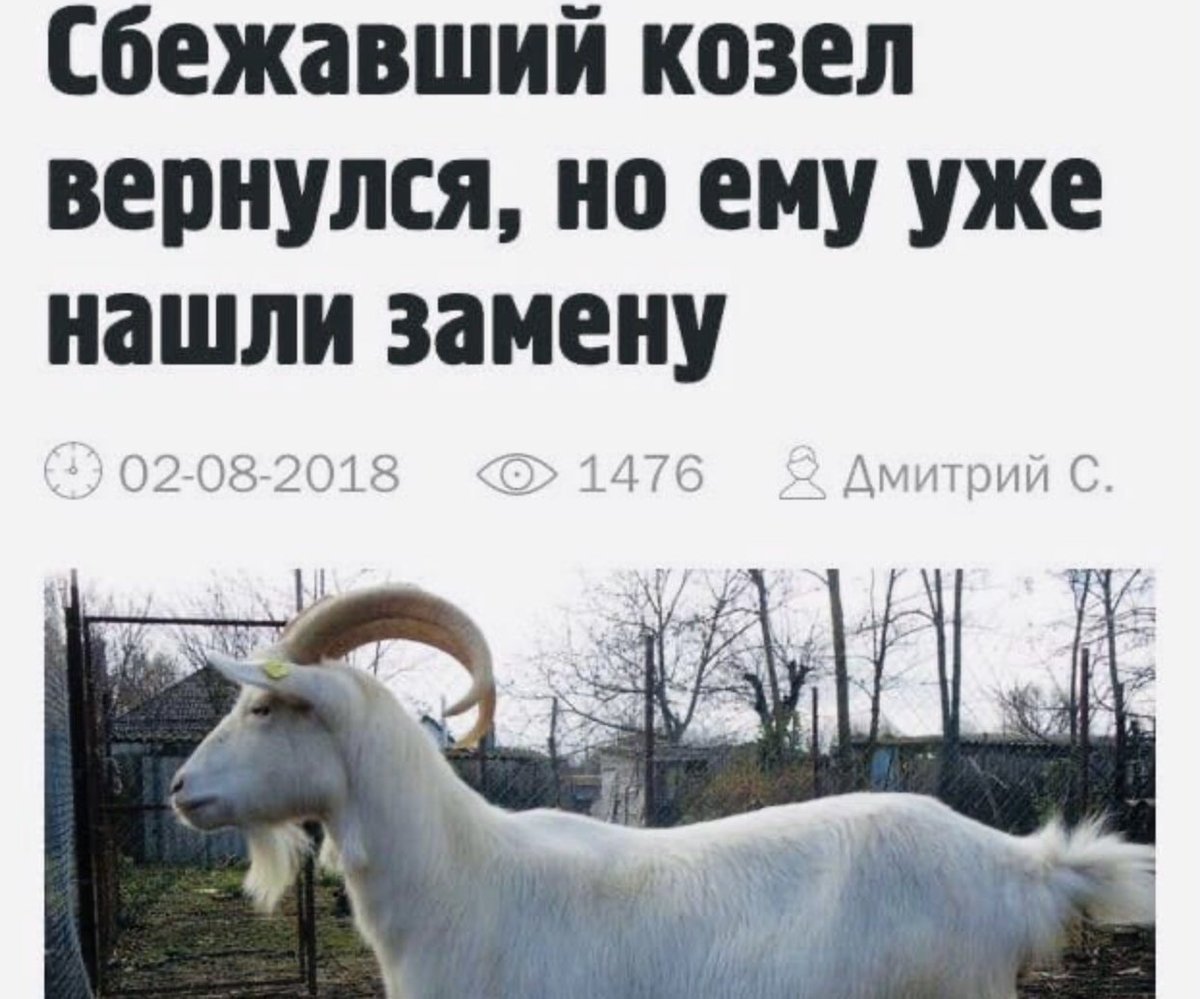 Коза улыбается