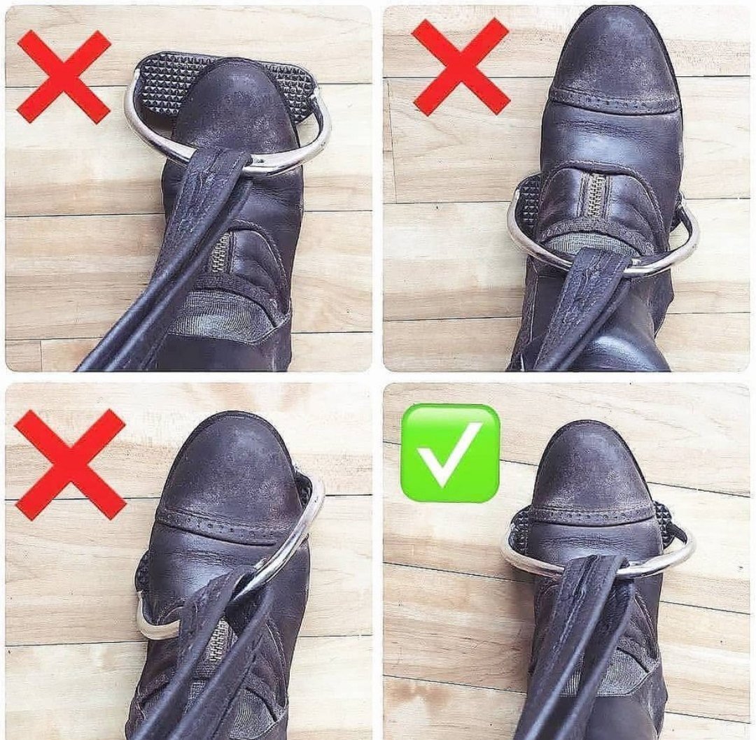 Позлащенное стремя это