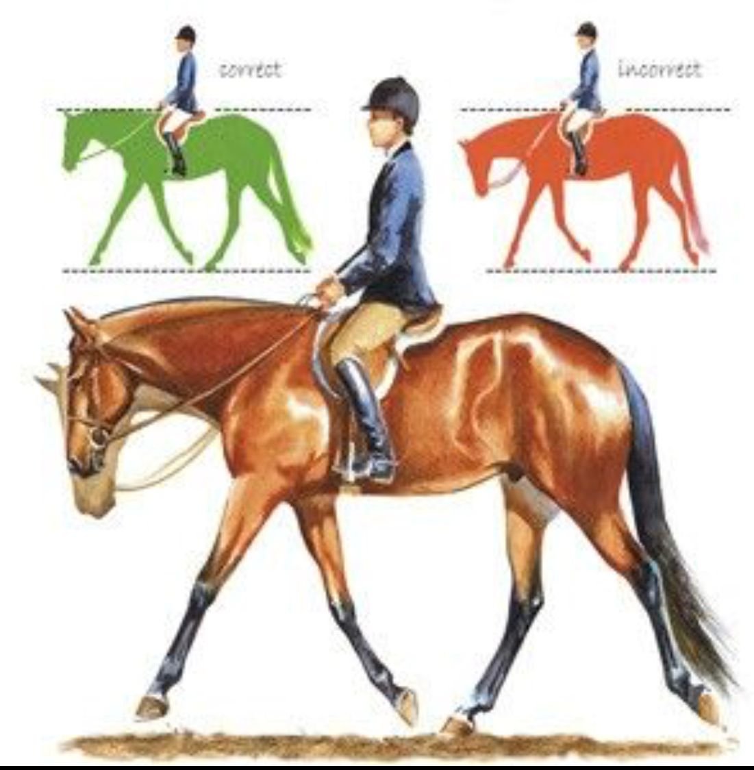 Верхняя и нижняя страховка в альпинизме