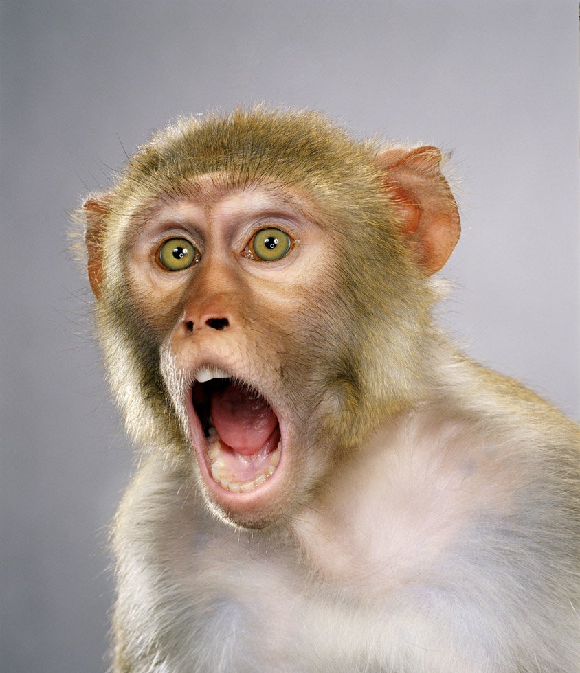 Человек в шоке