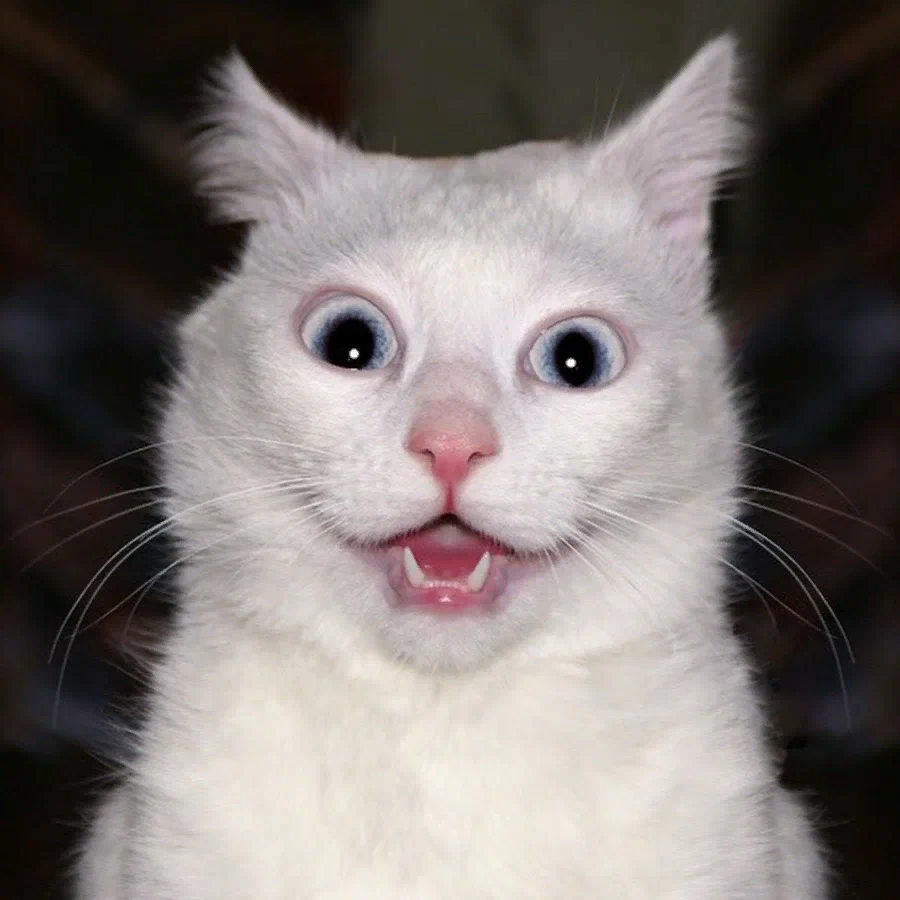 Удивлённое лицо смешное