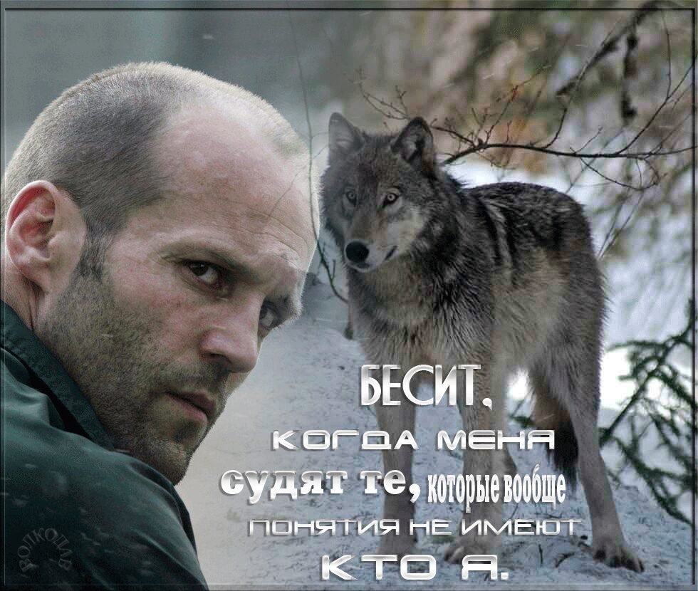 Цитаты волка
