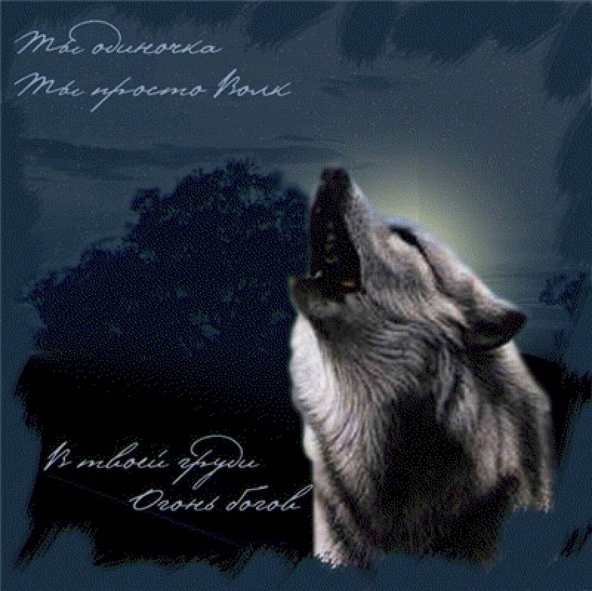 Одинокий волк с надписью