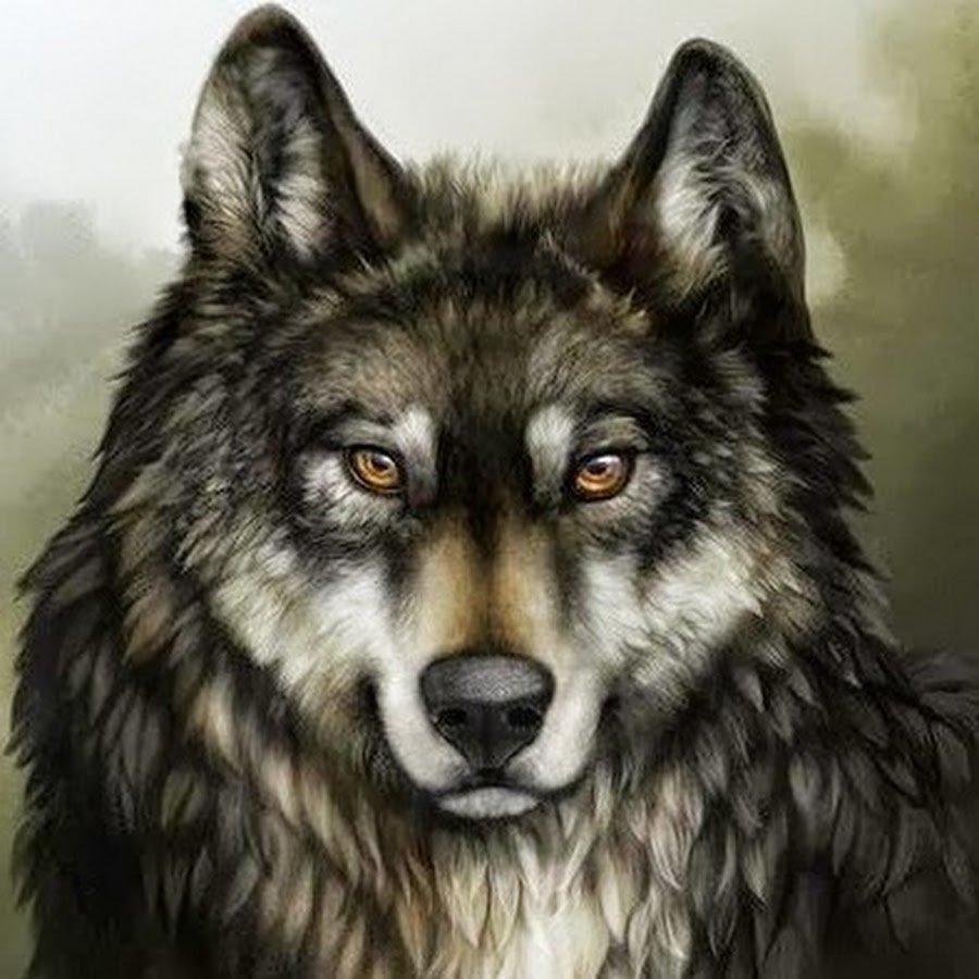 Одинокий волк