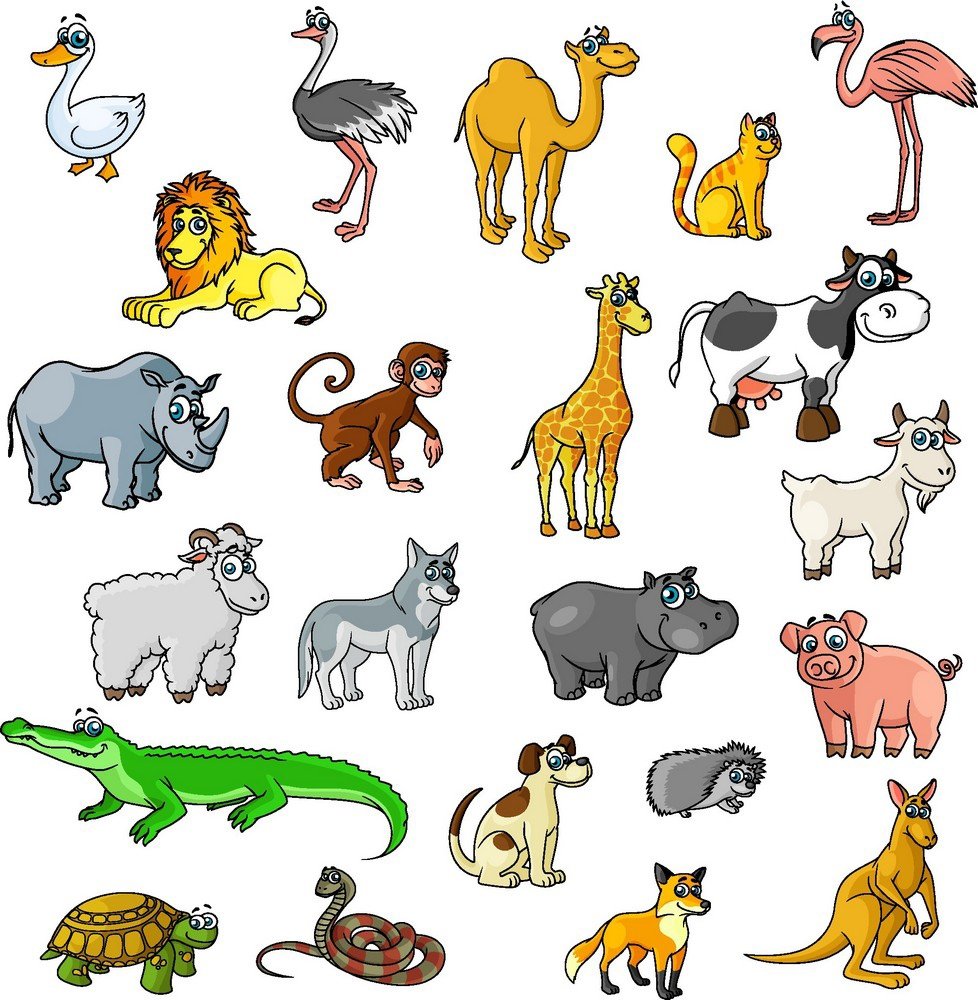 Зоо животные рисунки