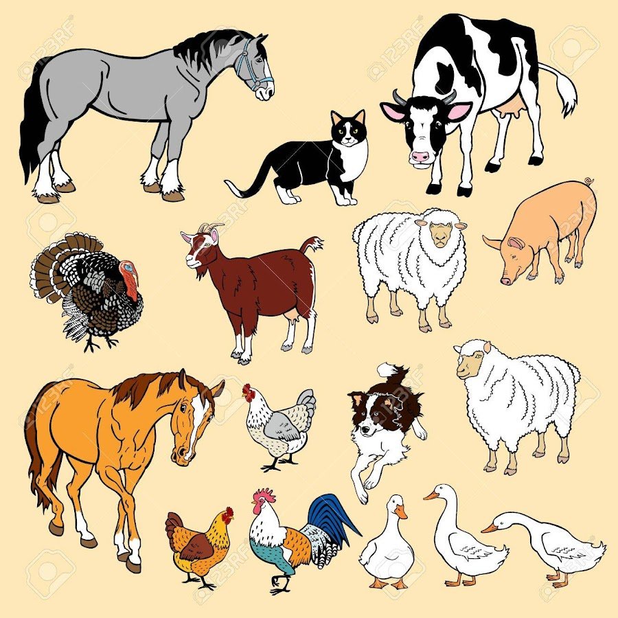 Векторные рисунки домашних животных