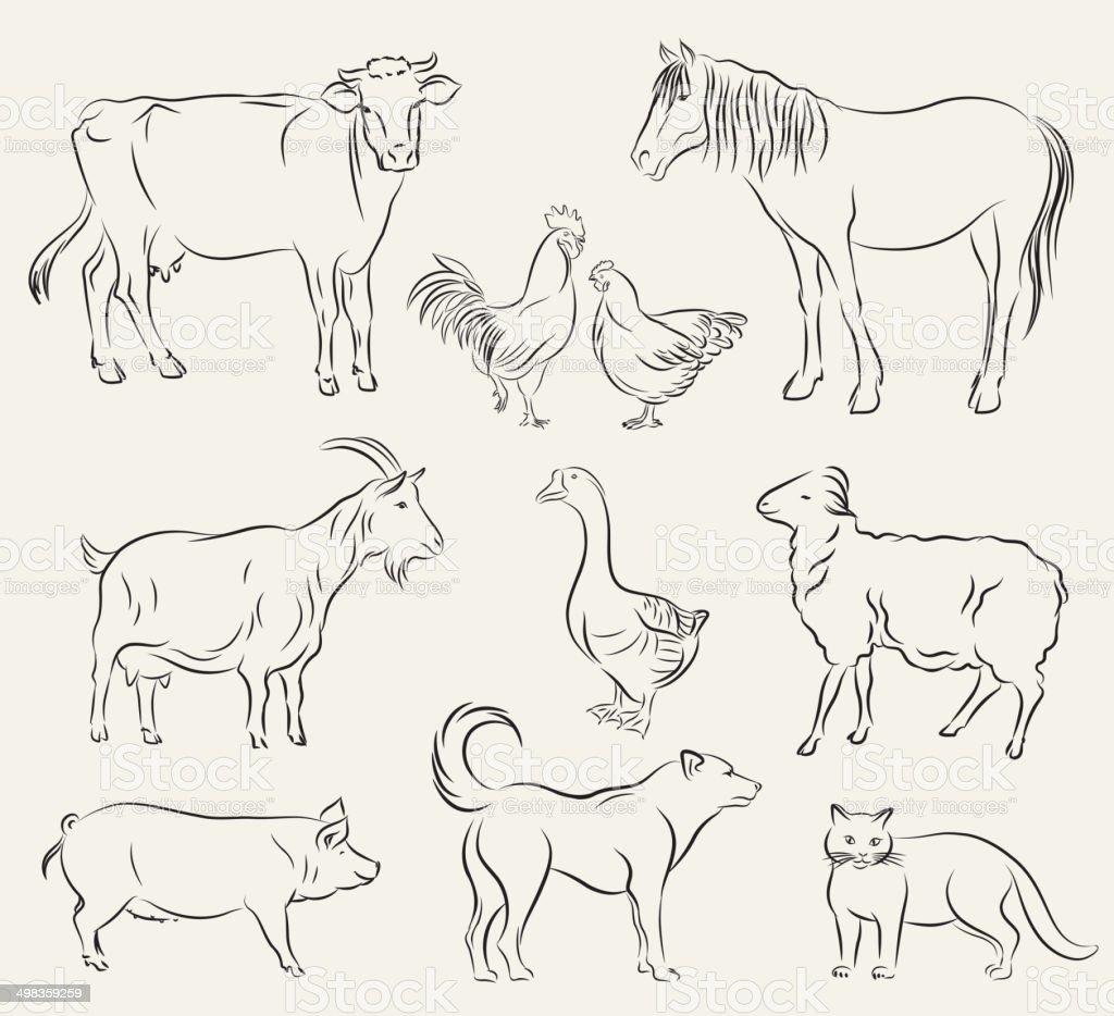 Наброски домашних животных корова