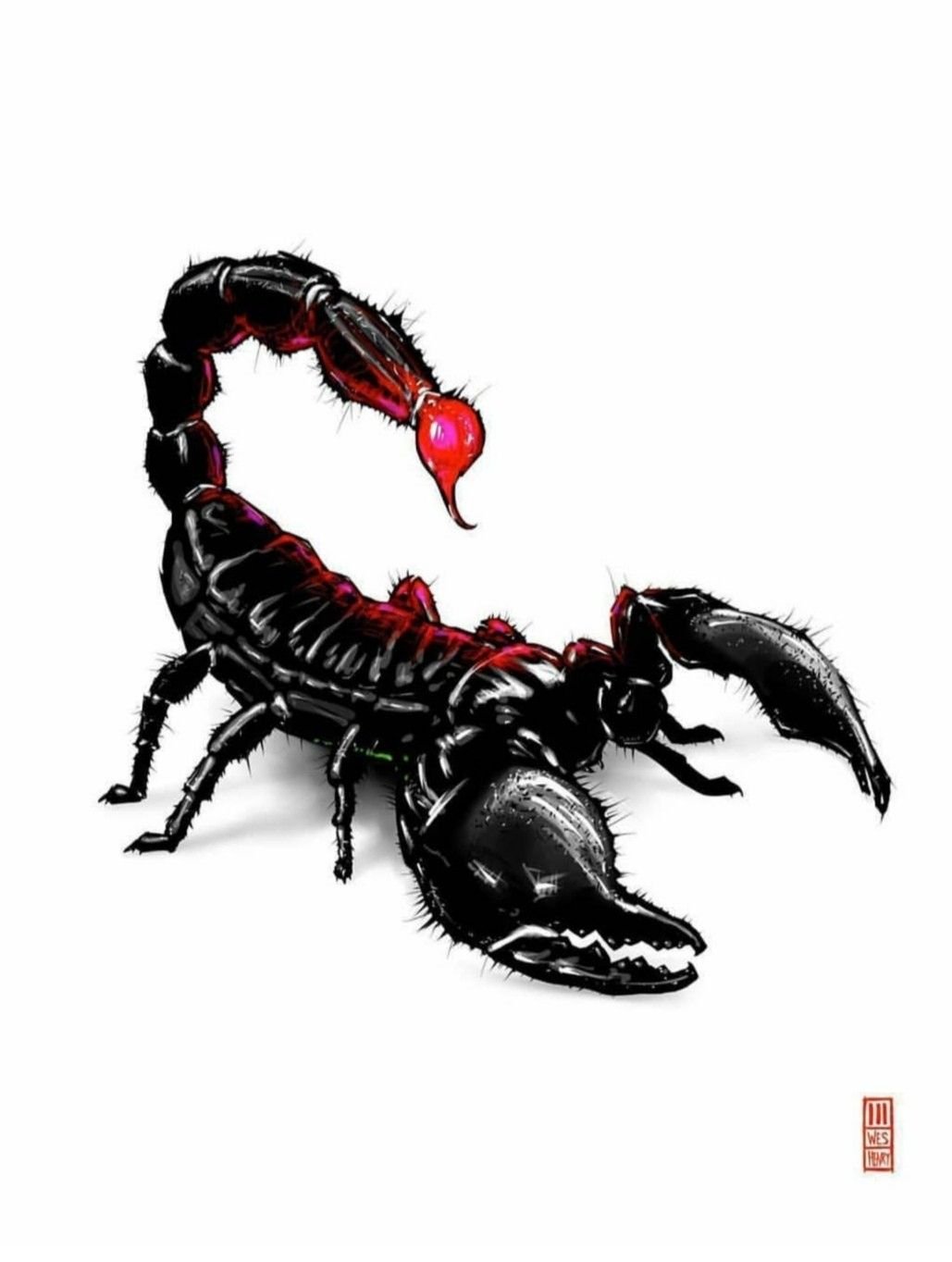 Скорпион карикатура