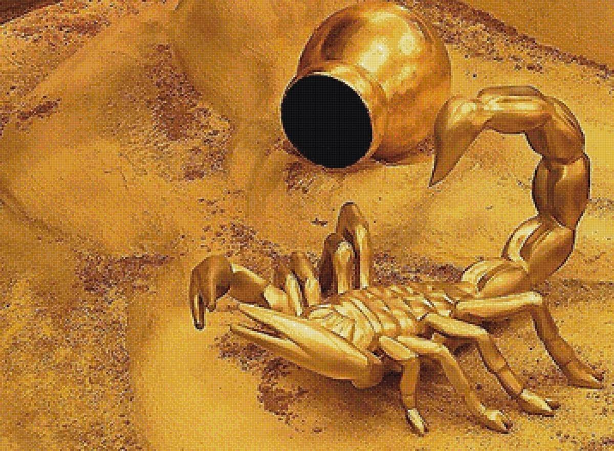 Красивый Скорпион