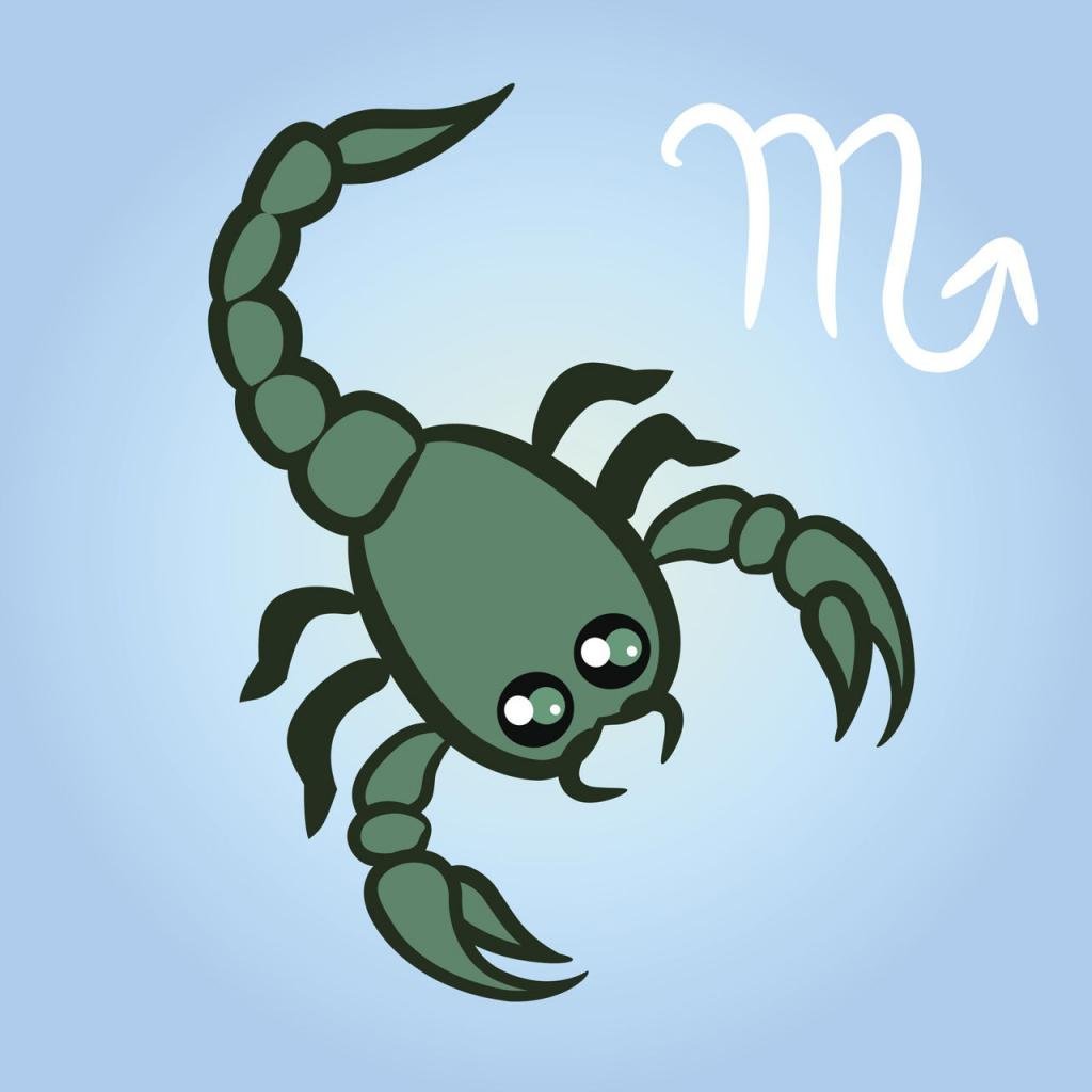 Факты о скорпионах женщинах