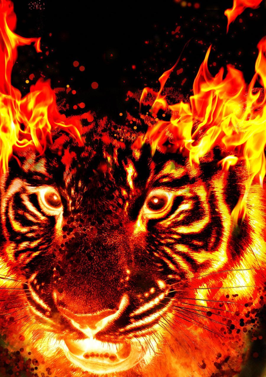 Злой Огненный тигр