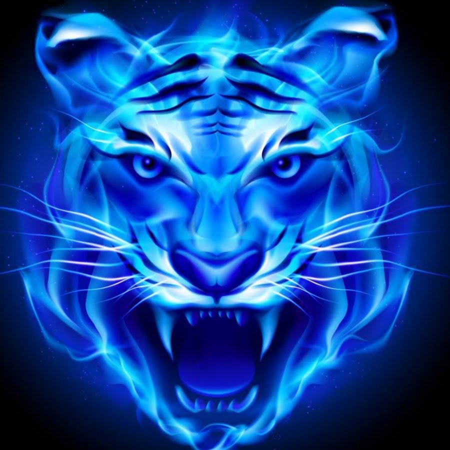 Огненный тигр в театре рисунок