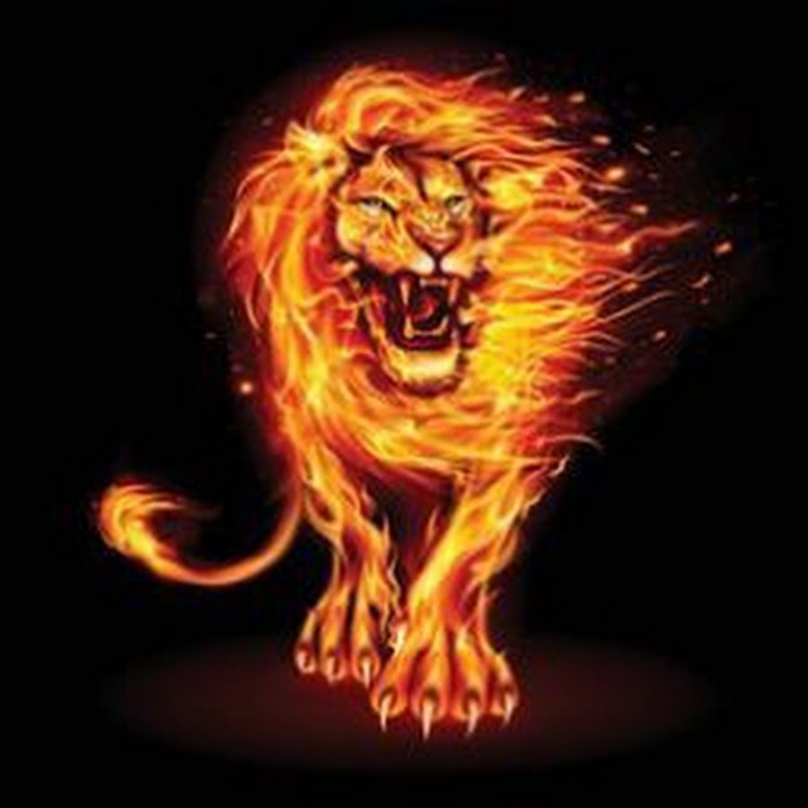 Красный Огненный тигр