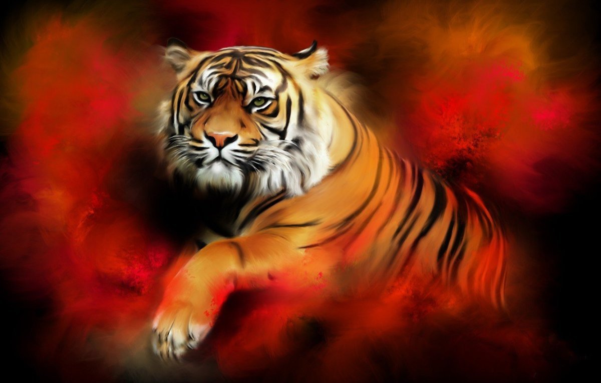 Огненный тигр