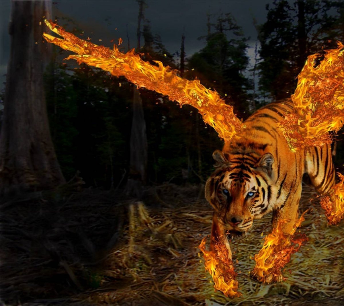 Огонь и вода