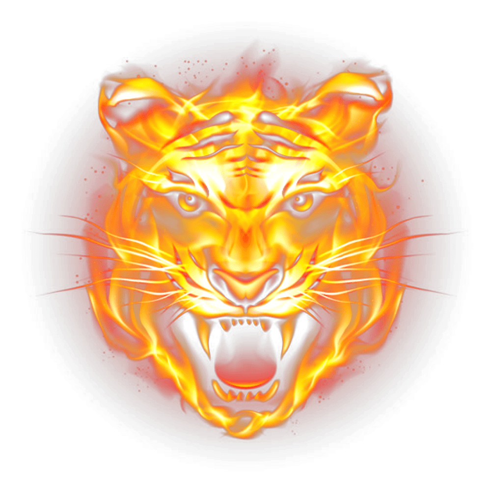 Тигр в огне