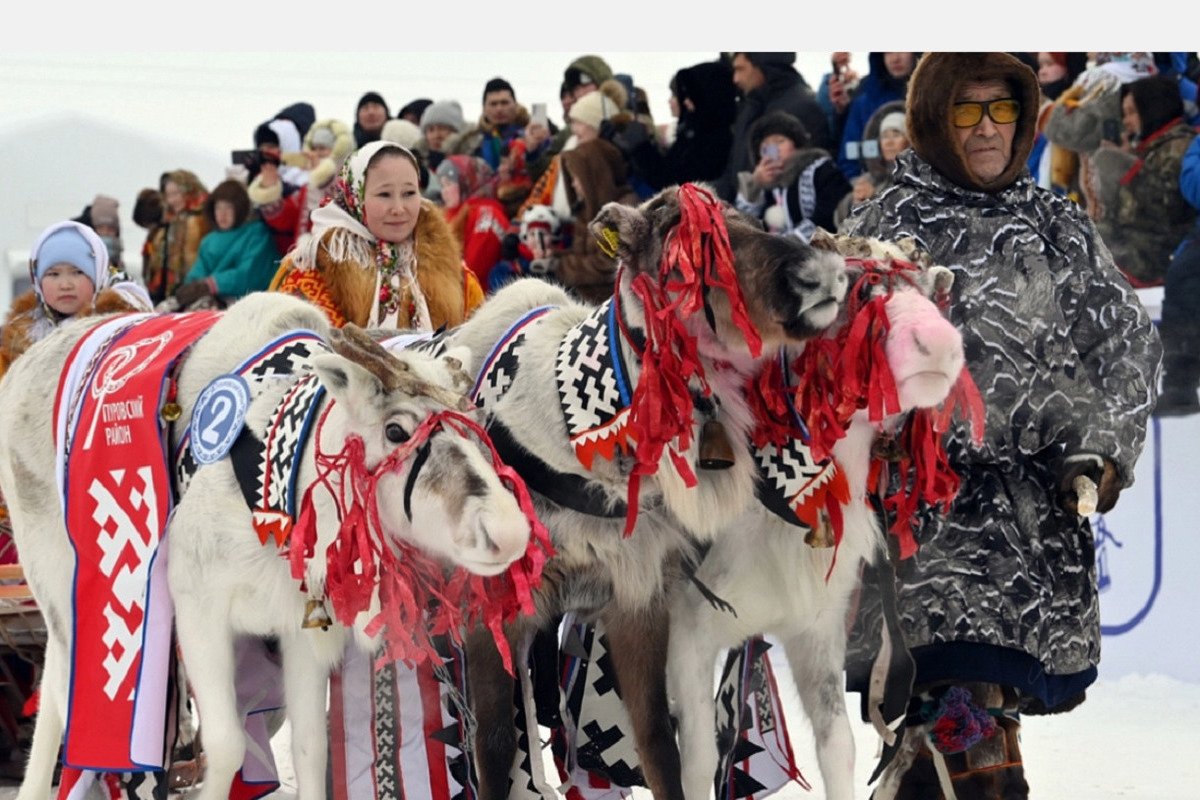 День оленевода картинки