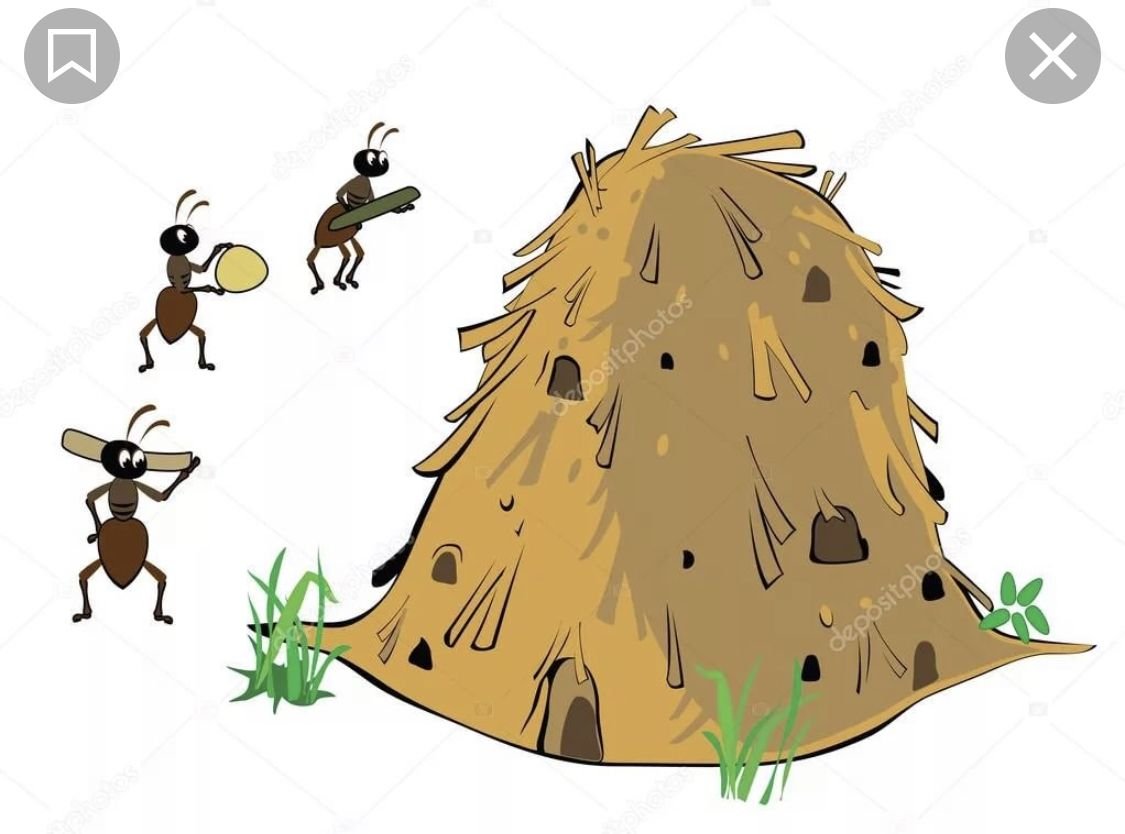 Муравейник лесных муравьев