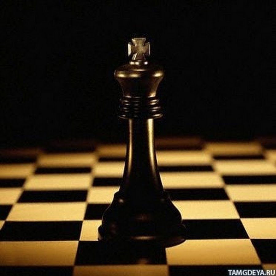 Девушка на шахматной доске