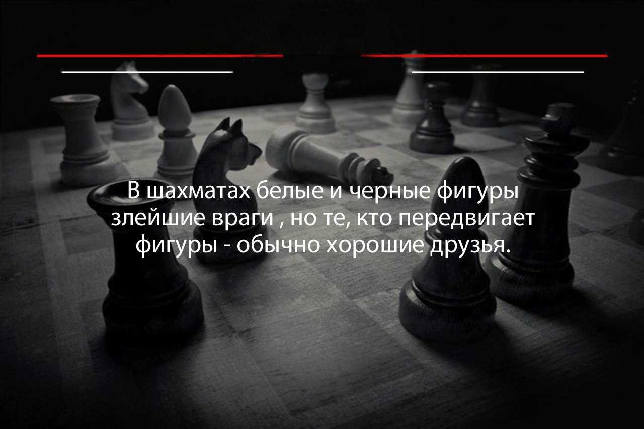 Фраза жизнь игра. Цитаты про шахматы. Высказывания о шахматах. Шахматные афоризмы. Цитаты про шахматы со смыслом.