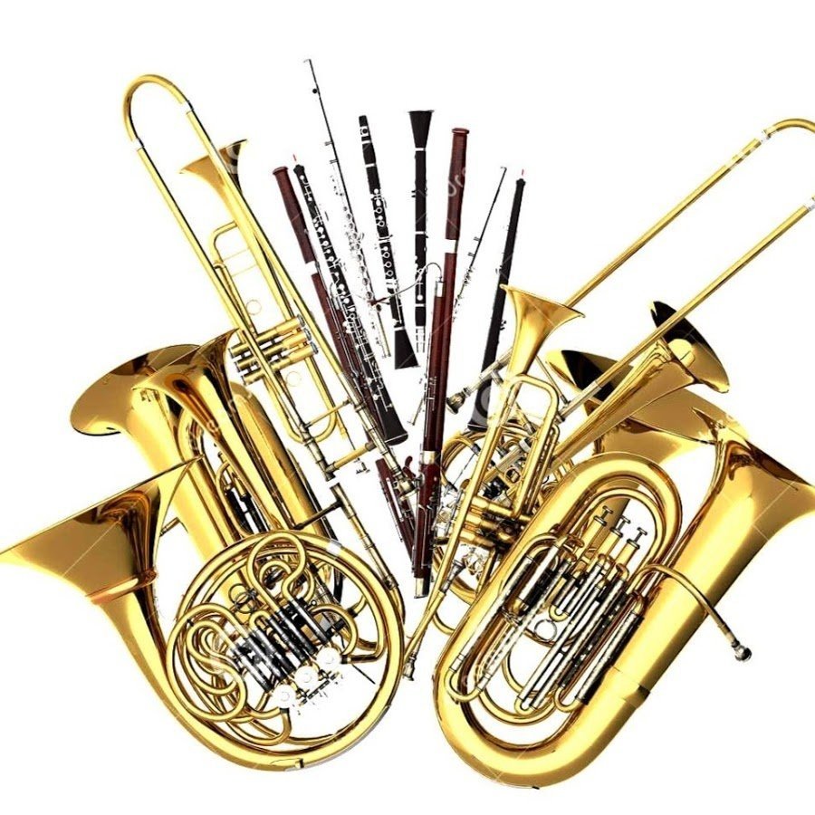 Духовые Оркестровые инструменты