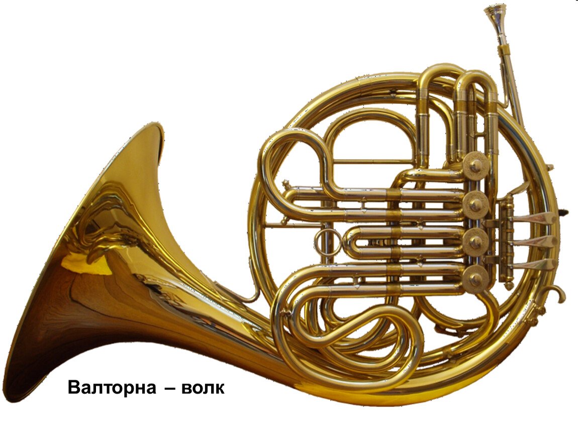 Медные духовые инструменты картинки