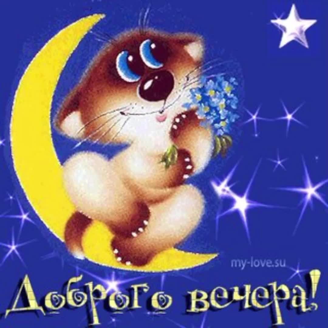 Добрый вечер мужчине