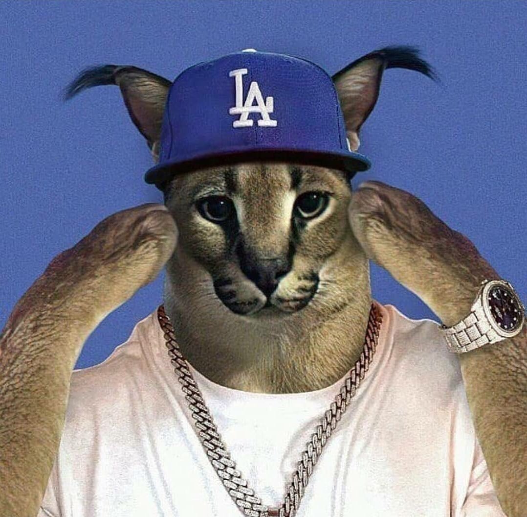 Шлёпа Штерн