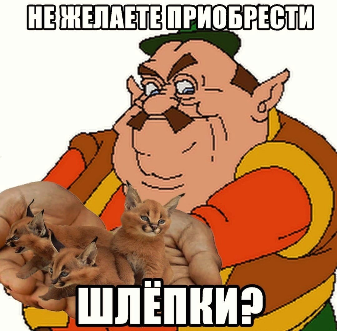 Фитоняшка на море
