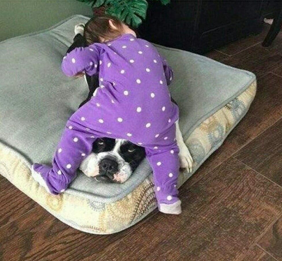 Пока пока до завтра