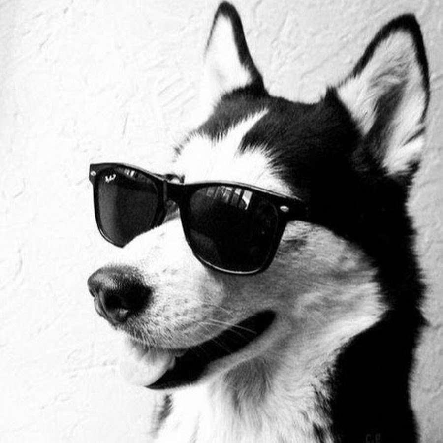 Крутые фоточки