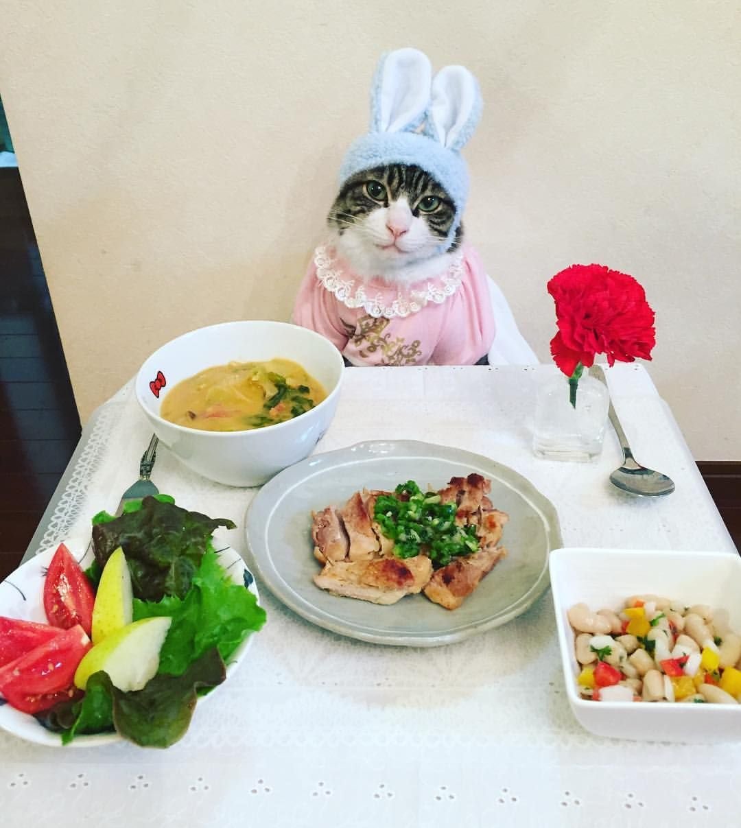 Обед смешные