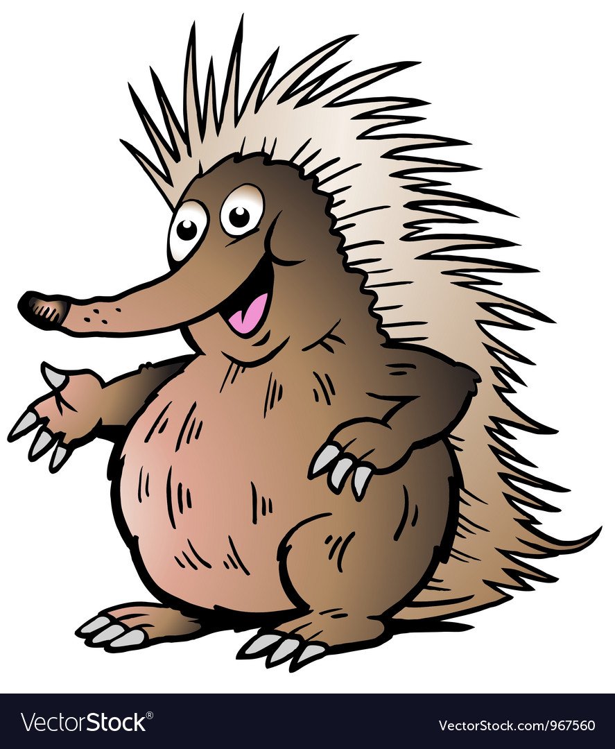 Ехидна для дошкольников