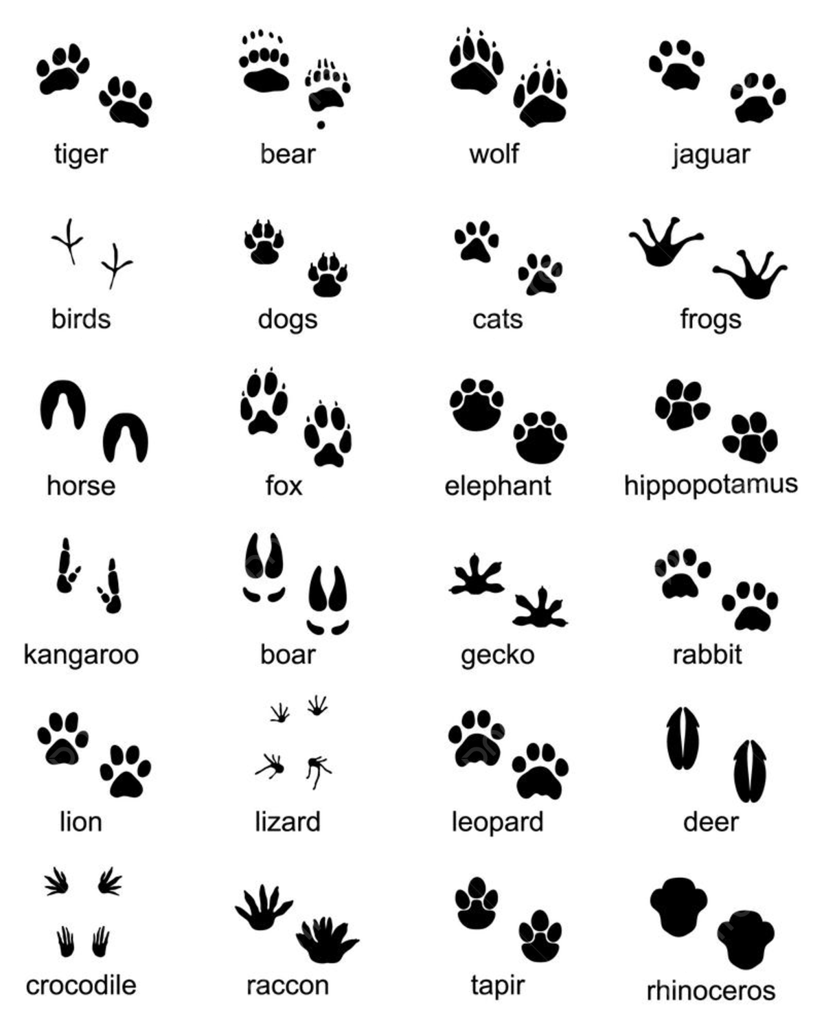 Животные и их следы