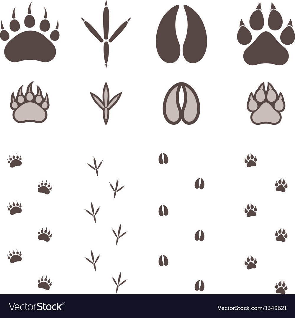 Следы домашних животных на снегу