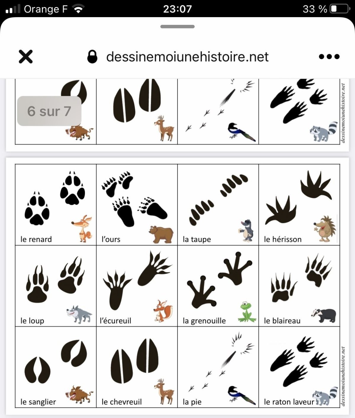 Соотнеси следы животных