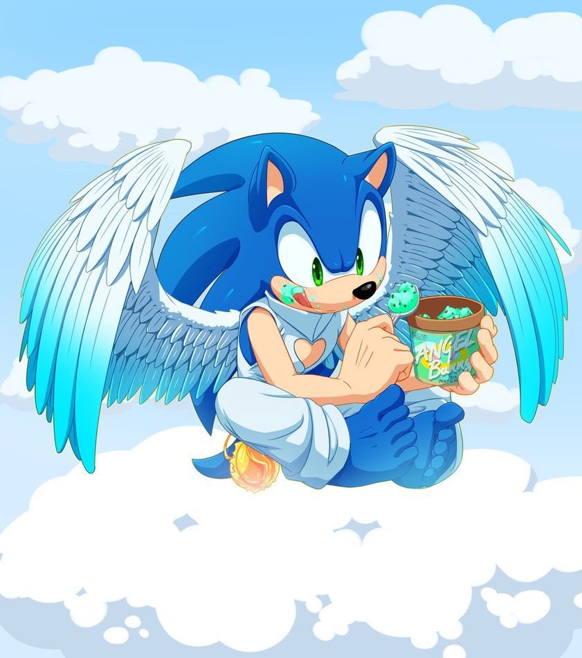 Соник с крыльями