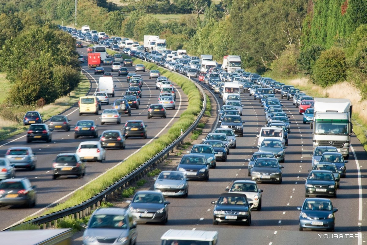 Полоса дороги что это