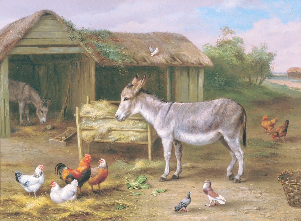 Скотный двор крестьянина