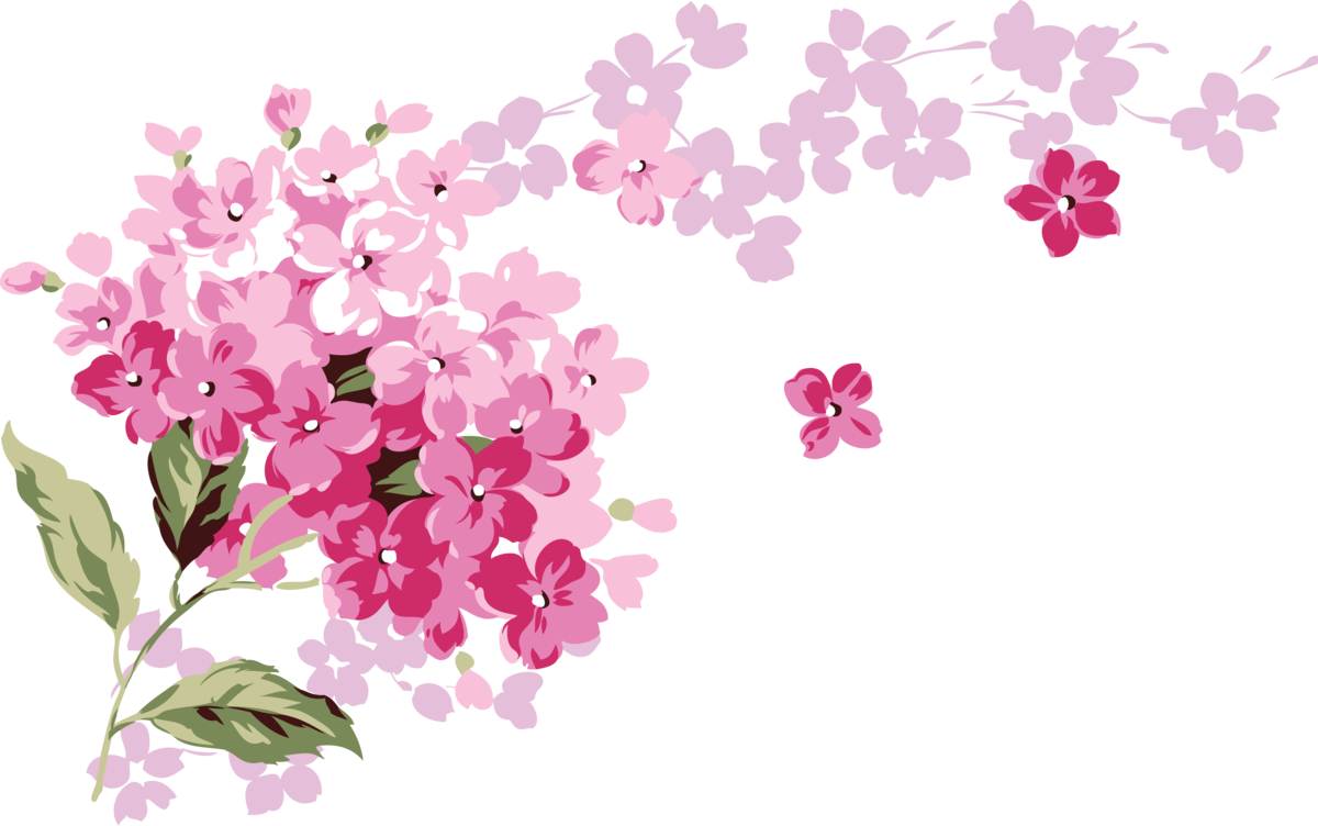 Цветы на прозрачном фоне